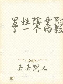 男性阴囊附近长了一个肉粒