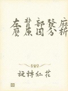 左背部发麻是什么原因分析