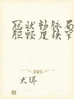 冠状动脉局部管腔轻度狭窄