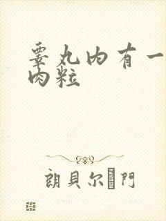 睾丸内有一个硬肉粒