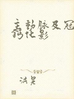 主动脉及冠脉见钙化影