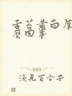 舌苔黄白厚是怎么回事