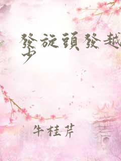 发旋头发越来越少