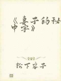 《妻子的秘密3中字》