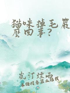 猫咪掉毛严重怎么回事?