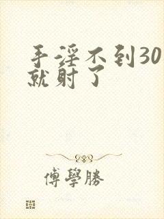 手淫不到30秒就射了