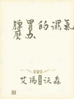 脾胃的湿气重怎么办