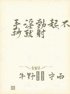 手淫勃起不坚几秒就射