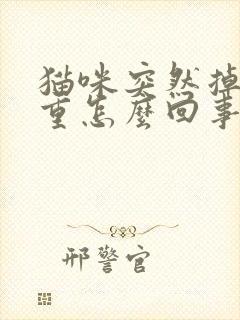 猫咪突然掉毛严重怎么回事