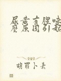 尿黄有腥味是什么原因引起的