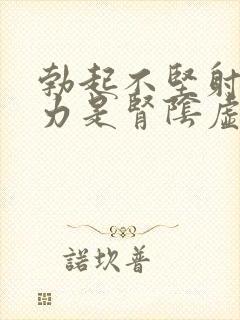 勃起不坚射精无力是肾阴虚还是阳虚