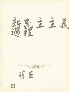 新民主主义革命过程