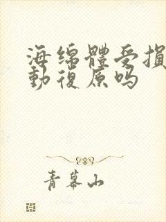 海绵体受损会自动复原吗