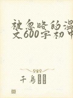 被忽略的温暖作文600字初中