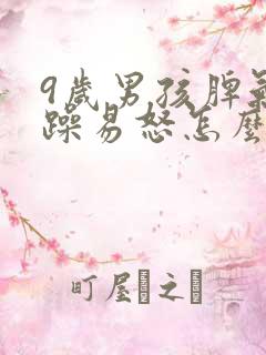 9岁男孩脾气暴躁易怒怎么办