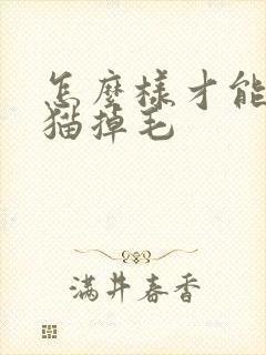 怎么样才能不让猫掉毛