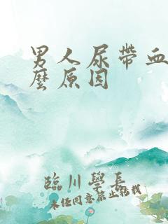 男人尿带血是什么原因