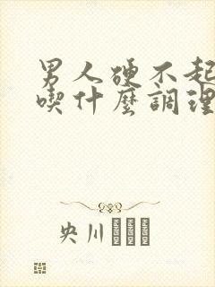 男人硬不起来该吃什么调理