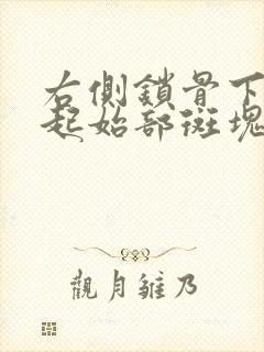 右侧锁骨下动脉起始部斑块