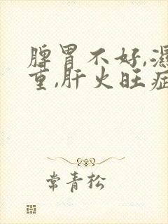 脾胃不好,湿气重,肝火旺症状