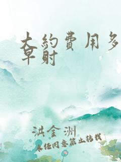 大约费用多少治早射