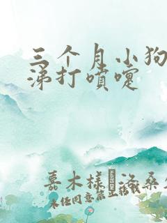 三个月小狗流鼻涕打喷嚏