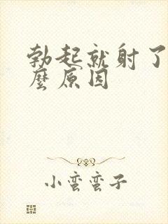 勃起就射了是什么原因