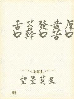 舌苔发黄厚腻 口干口苦口臭