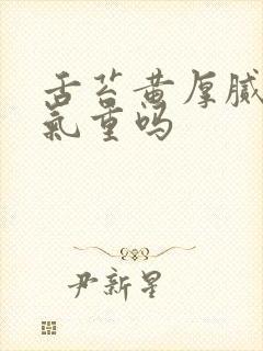 舌苔黄厚腻是湿气重吗