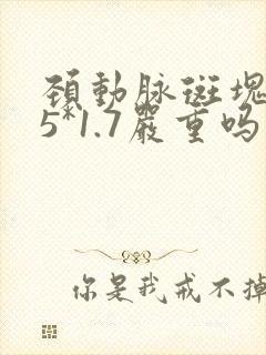 颈动脉斑块7.5*1.7严重吗