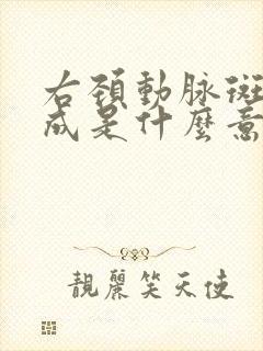 右颈动脉斑块形成是什么意思