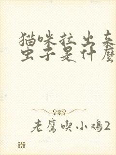 猫咪拉出来白色虫子是什么虫