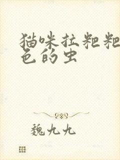 猫咪拉粑粑有白色的虫