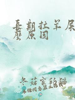 长期拉羊屎是什么原因