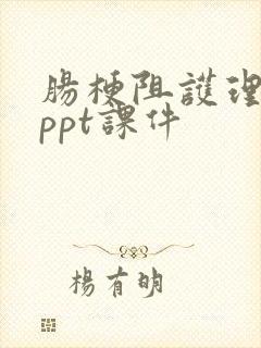 肠梗阻护理查房ppt课件