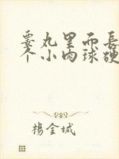 睾丸里面长了两个小肉球硬硬的