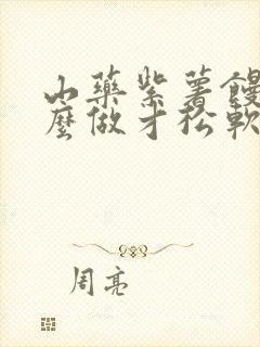 山药紫薯馒头怎么做才松软好吃