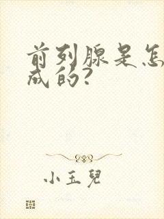 前列腺是怎样造成的?