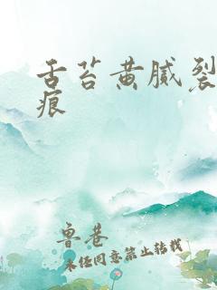 舌苔黄腻裂纹齿痕