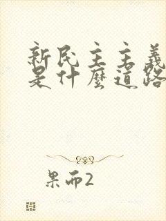 新民主主义道路是什么道路