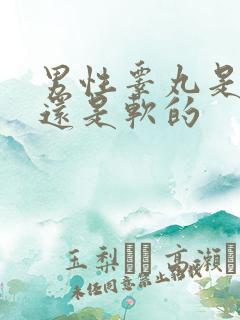 男性睾丸是硬的还是软的