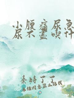 小腹痛尿急尿频尿不尽吃什么药