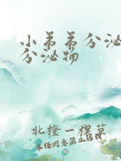 小弟弟分泌黄色分泌物