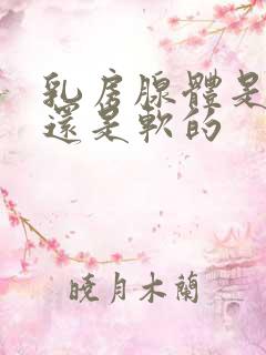 乳房腺体是硬的还是软的