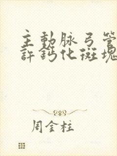 主动脉弓管壁少许钙化斑块