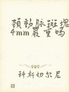 颈动脉斑块1.4mm严重吗
