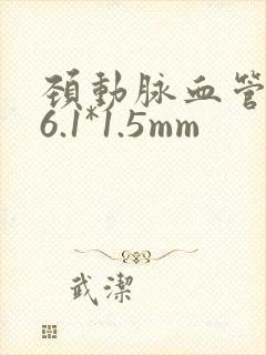 颈动脉血管斑块6.1*1.5mm
