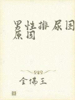 男性排尿困难的原因