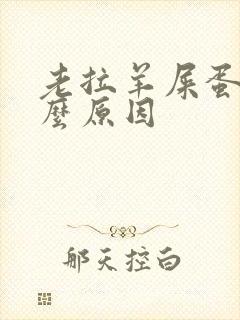 老拉羊屎蛋是什么原因