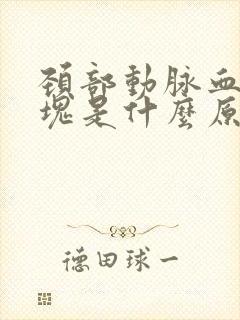 颈部动脉血管斑块是什么原因造成的